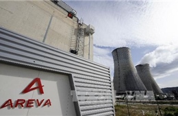 Pháp nỗ lực &#39;giải cứu&#39; tập đoàn hạt nhân nhà nước Areva